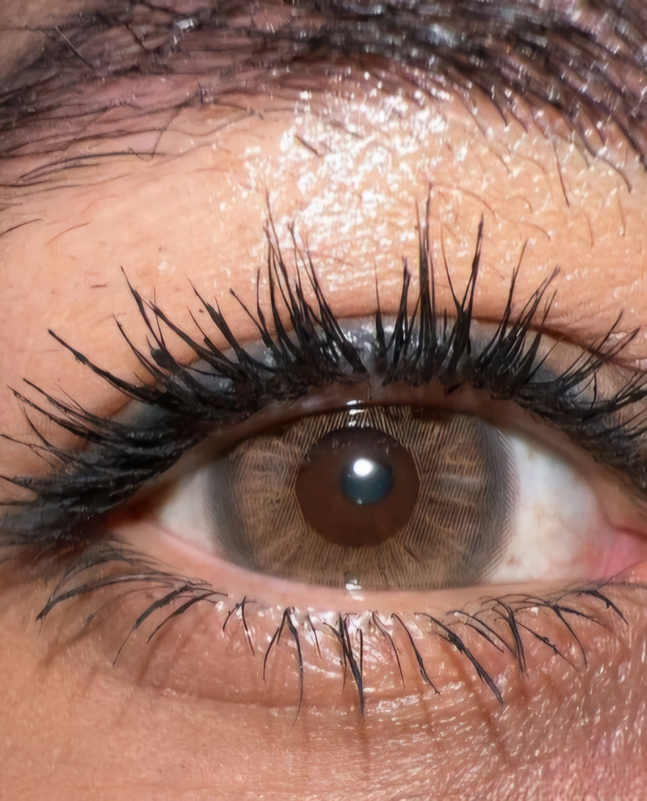 EOS Brown Kleurlenzen (jaarlenzen) - Colorvisions