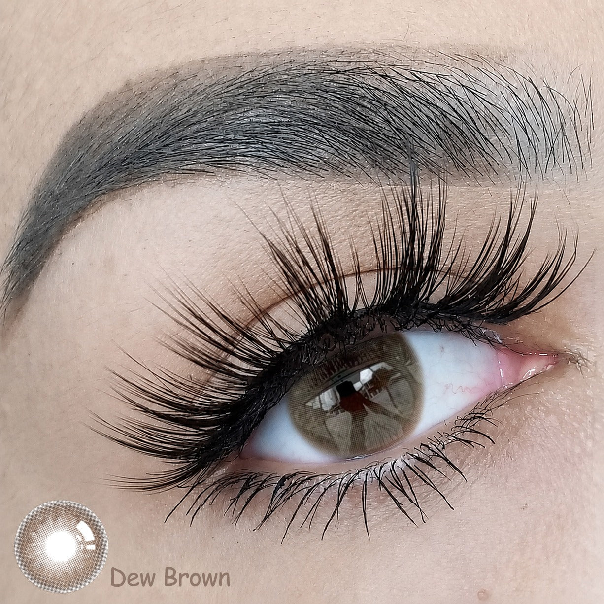 Nieuw! Dew Brown Kleurlenzen (jaarlenzen)