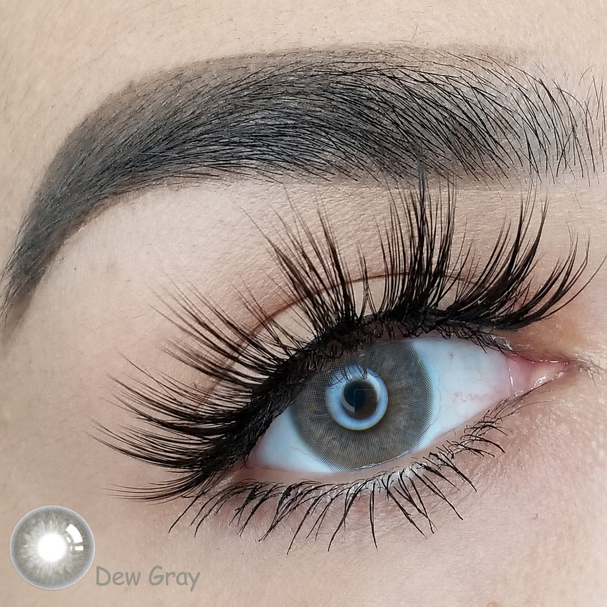 Nieuw! Dew Gray Kleurlenzen (jaarlenzen)