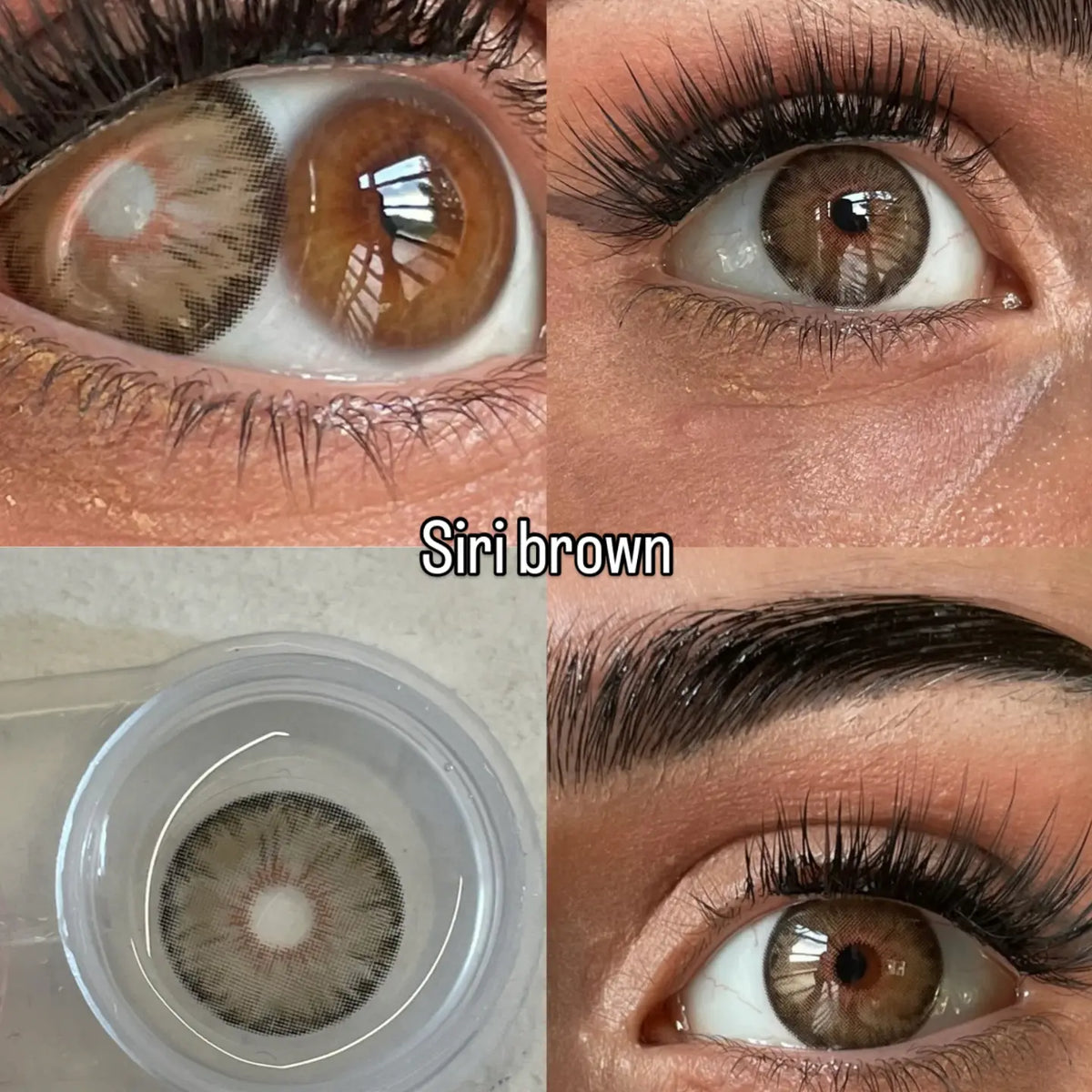 Siri Brown Kleurlenzen (jaarlenzen)