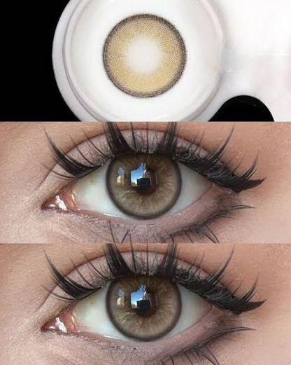 Twilight Brown Kleurlenzen (jaarlenzen)