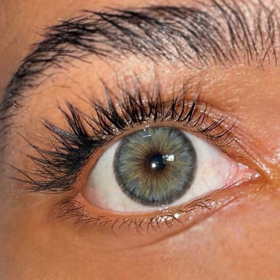 Cleopatra gray Kleurlenzen (jaarlenzen) - Colorvisions