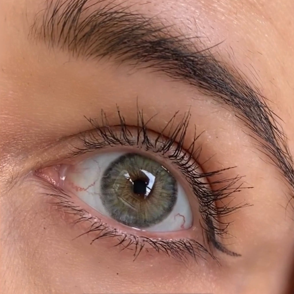 Cleopatra gray Kleurlenzen (jaarlenzen) - Colorvisions