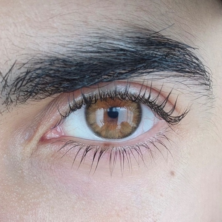 Cleopatra hazel Kleurlenzen (jaarlenzen) - Colorvisions