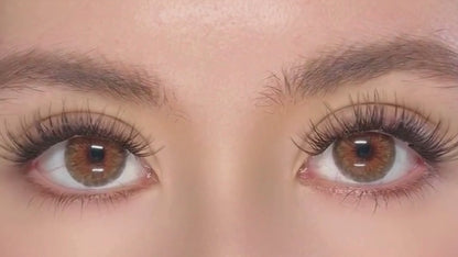 Cleopatra hazel Kleurlenzen (jaarlenzen)