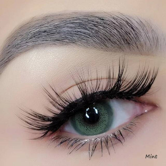 Mint Kleurlenzen (jaarlenzen) - Colorvisions